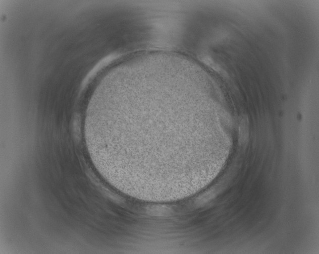 X0000081421454200702092122