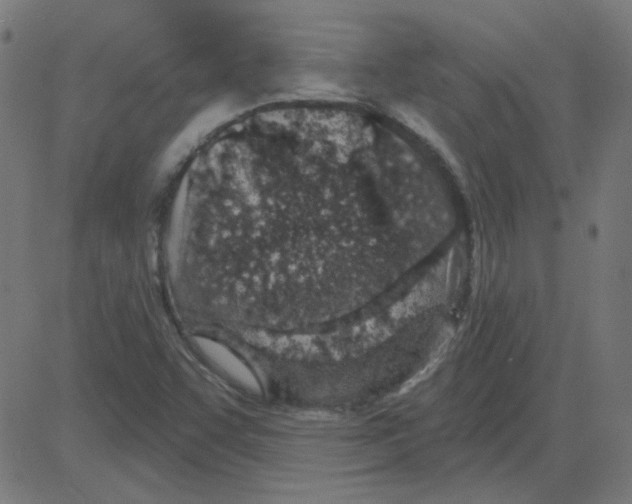 X0000081421455200702092122