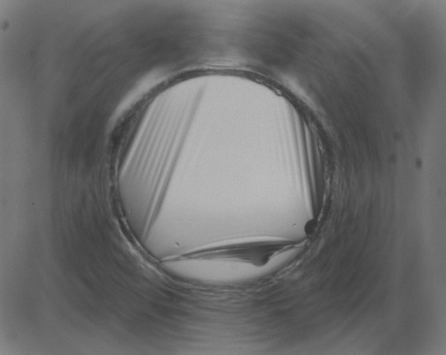 X0000081421456200702092122