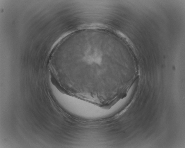 X0000081421457200702092122