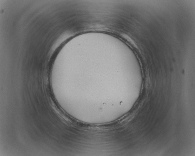 X0000081421458200702092122