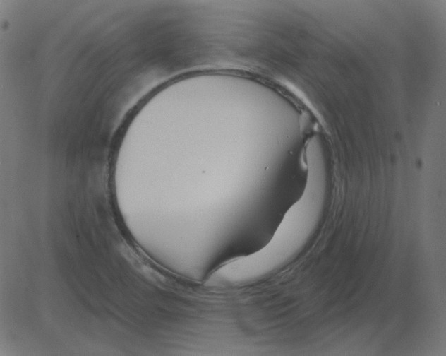 X0000081421460200702092122