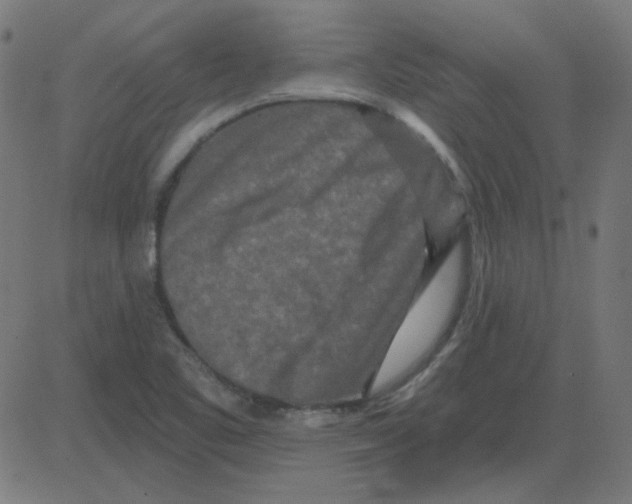 X0000081421461200702092122