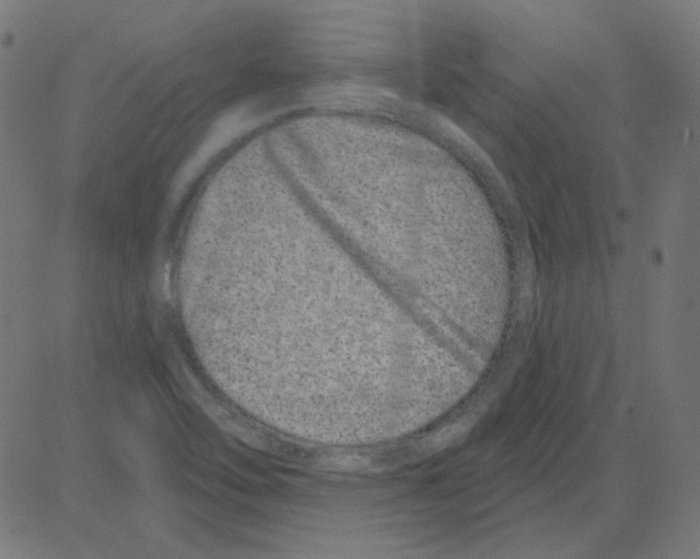 X0000081421462200702092121