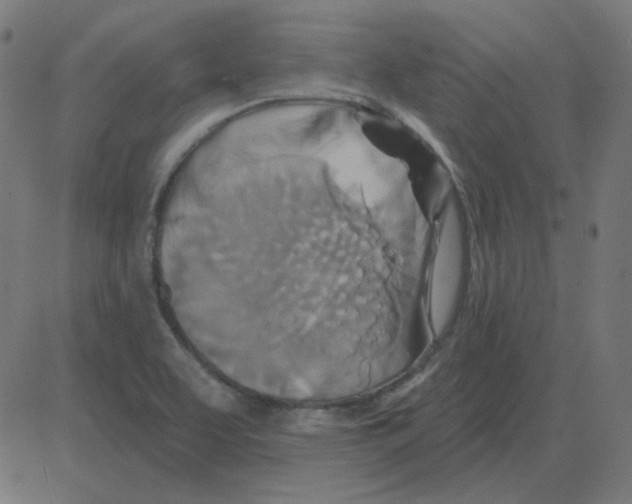 X0000081421463200702092121