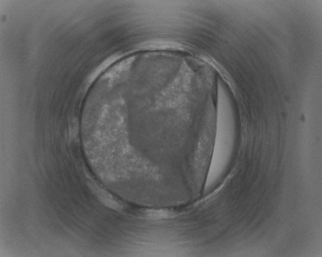 X0000081421465200702092121