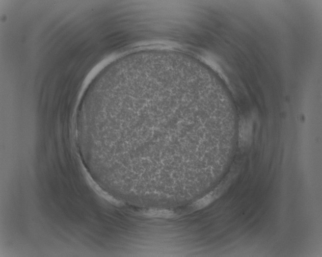 X0000081421466200702092121