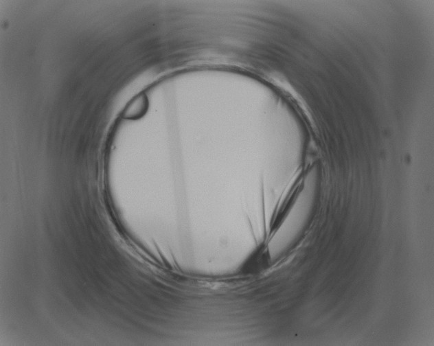 X0000081421467200702092121