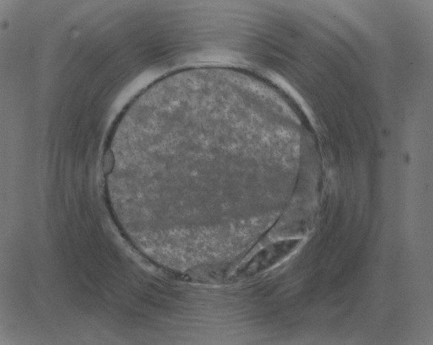 X0000081421469200702092121