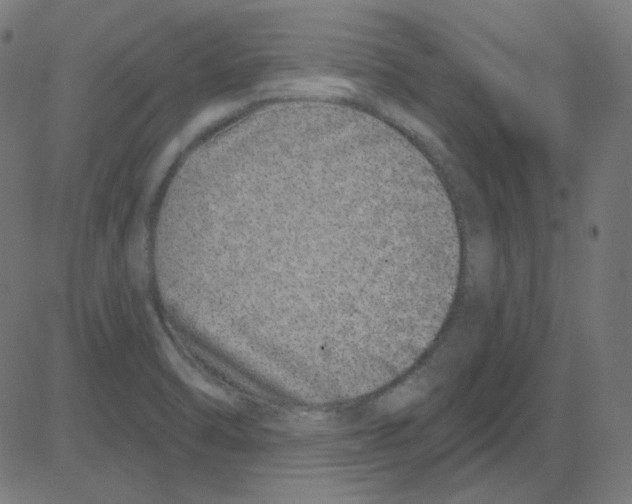 X0000081421470200702092121