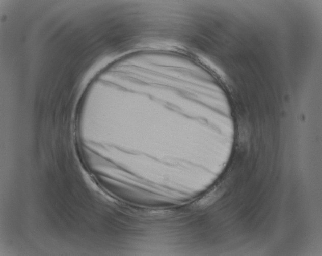 X0000081421471200702092121