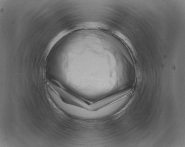 X0000081421473200702092121