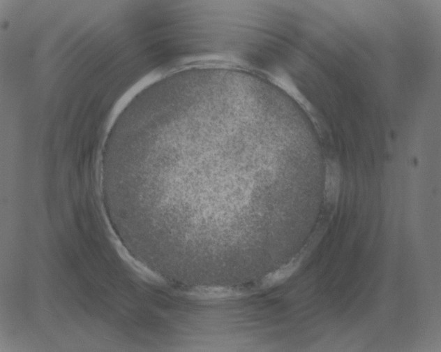 X0000081421474200702092121