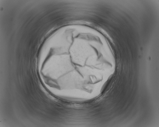 X0000081421476200702092121