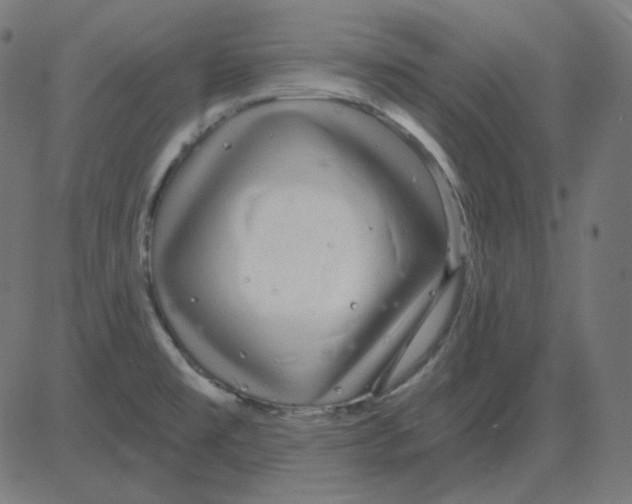 X0000081421477200702092121