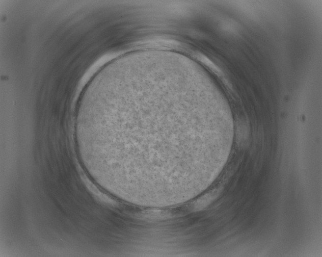 X0000081421478200702092121