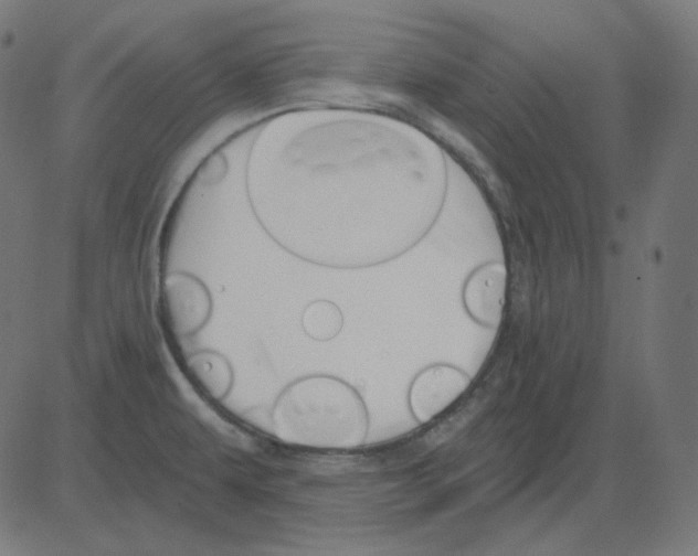 X0000081421479200702092121