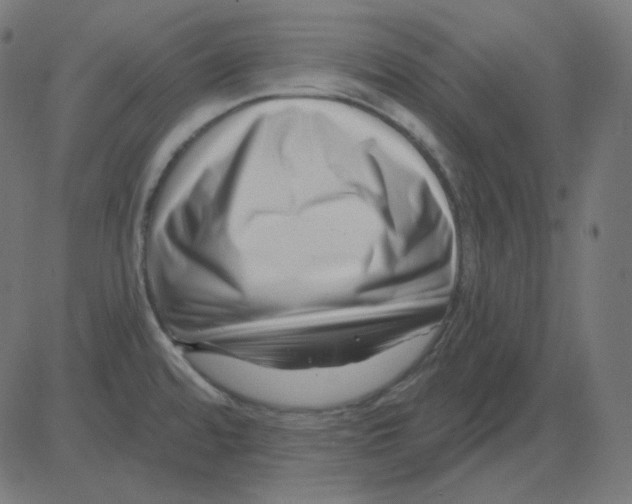 X0000081421480200702092121