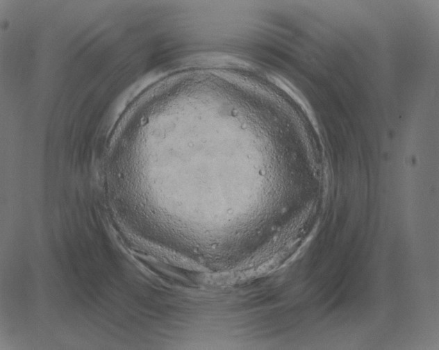 X0000081421481200702092121