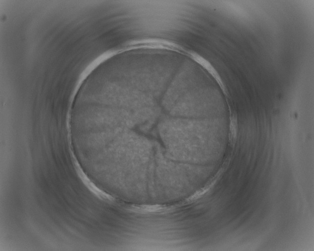 X0000081421482200702092121