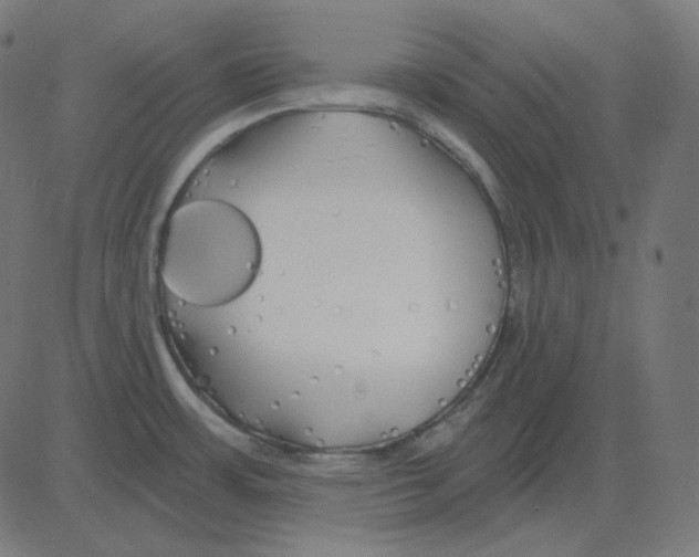 X0000081421483200702092121