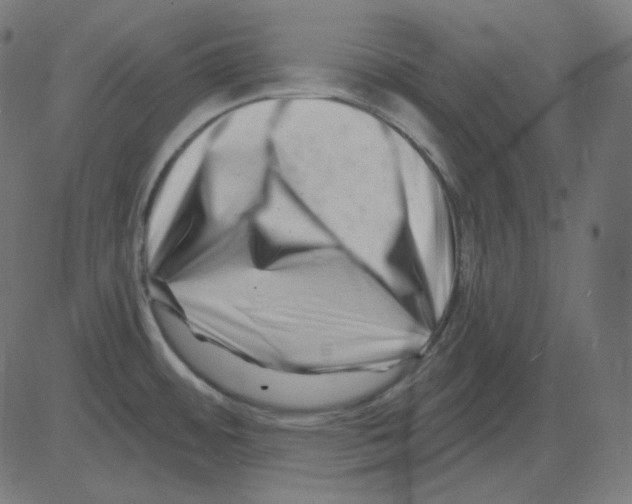 X0000081421484200702092121