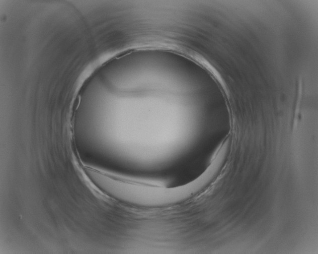 X0000081421485200702092121