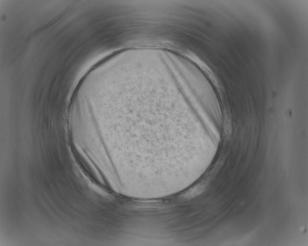 X0000081421486200702092121