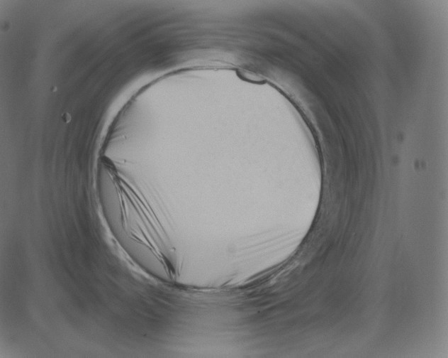 X0000081421488200702092121