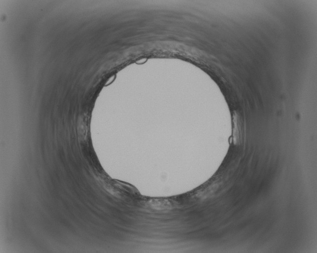 X0000081421491200702092120