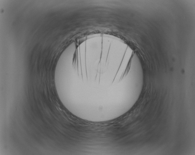 X0000081421492200702092120