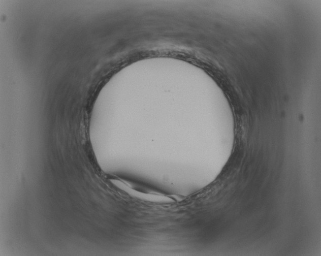 X0000081421493200702092120