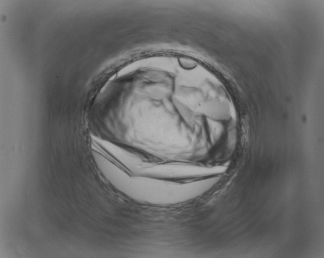 X0000081421494200702092120