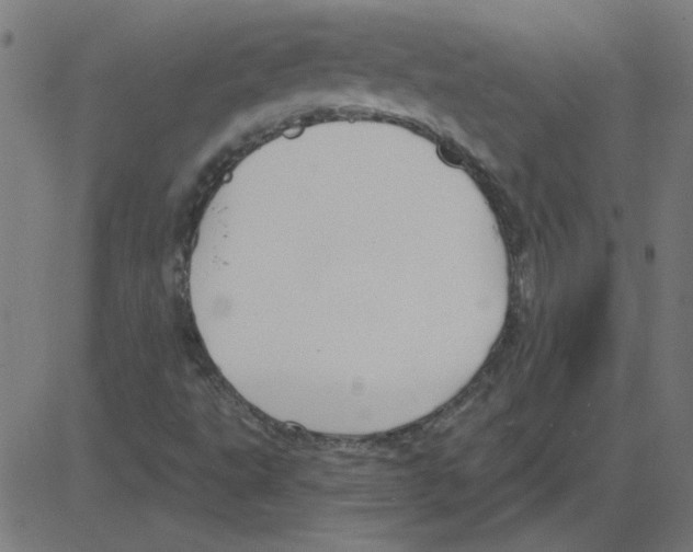 X0000081421495200702092120