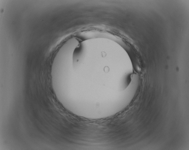 X0000081421496200702092120