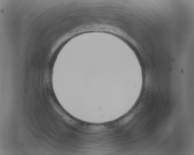 X0000081421498200702092120