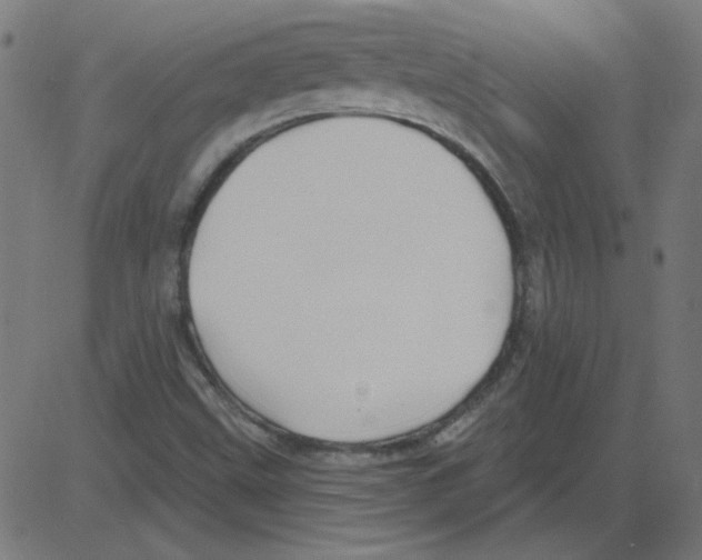 X0000081421499200702092120