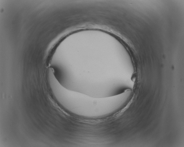 X0000081421502200702092120