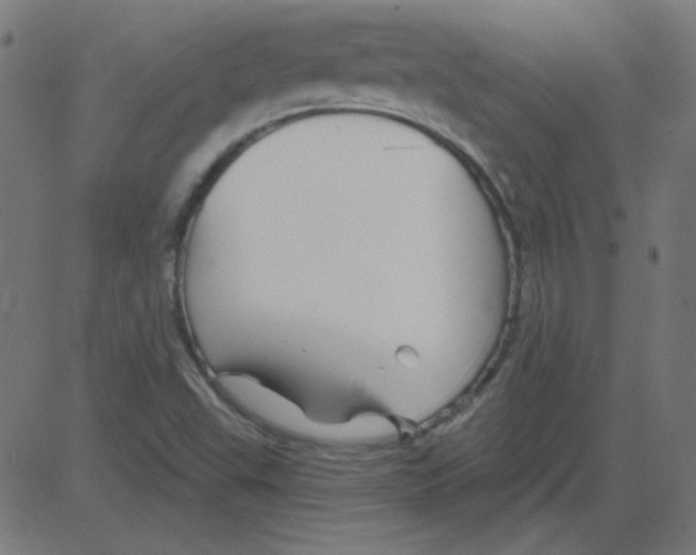 X0000081421503200702092121