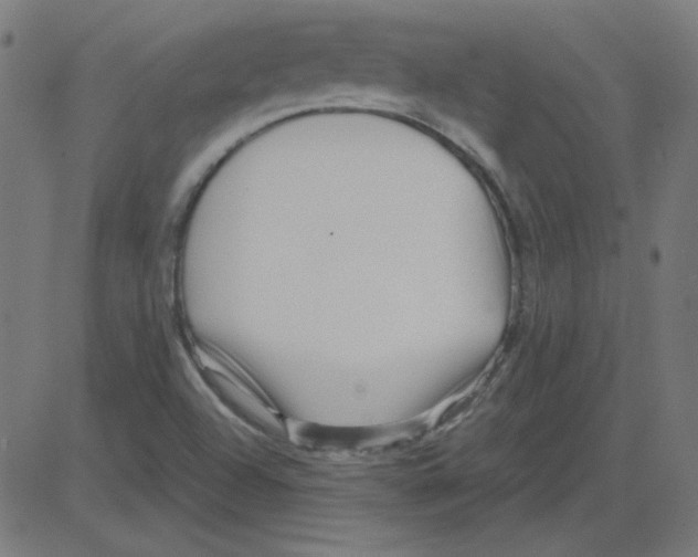 X0000081421504200702092121