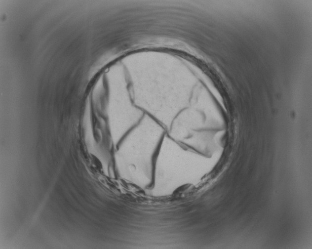 X0000081421505200702092121