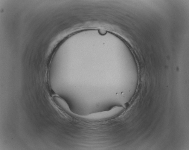 X0000081421507200702092121