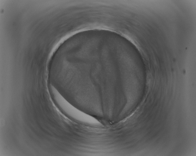 X0000081421508200702092121