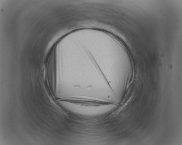 X0000081421509200702092121