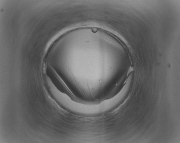 X0000081421510200702092121