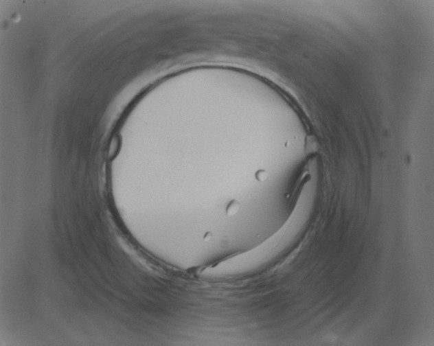 X0000081421511200702092121