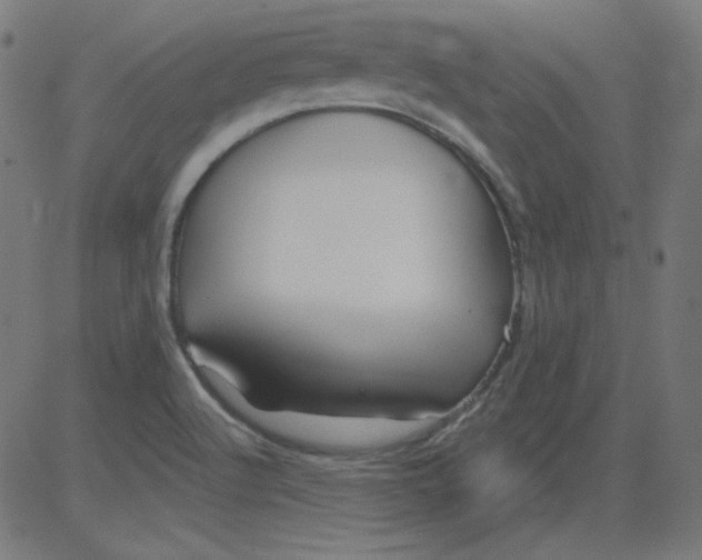 X0000081421512200702092121