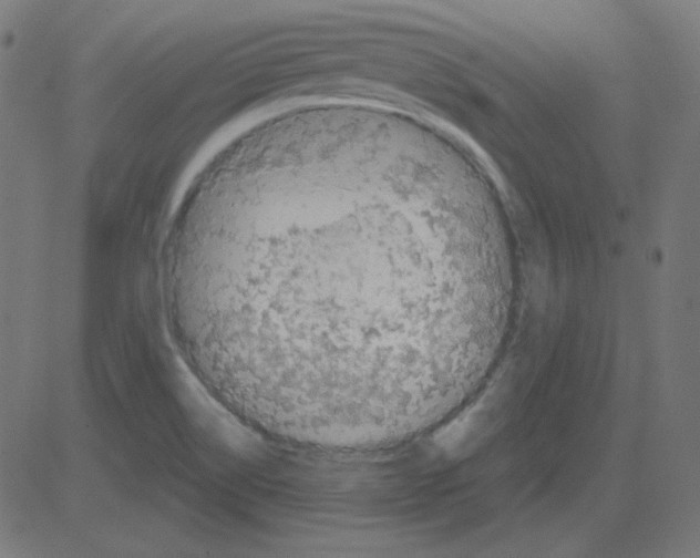 X0000081421514200702092121