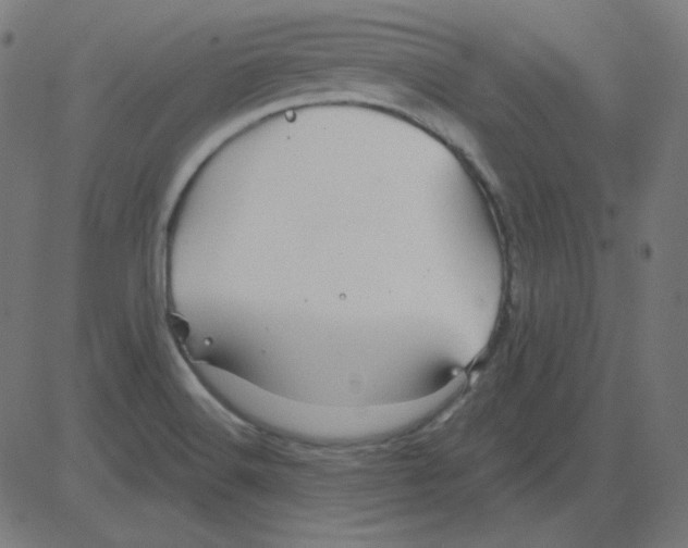 X0000081421516200702092121