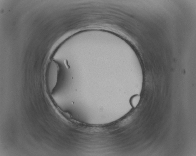 X0000081421517200702092121